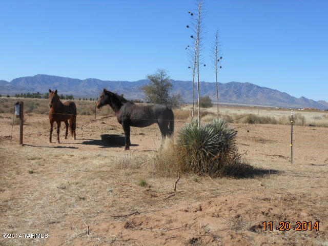8455 N Fort Grant Rd, Willcox, AZ 85643 photo 14