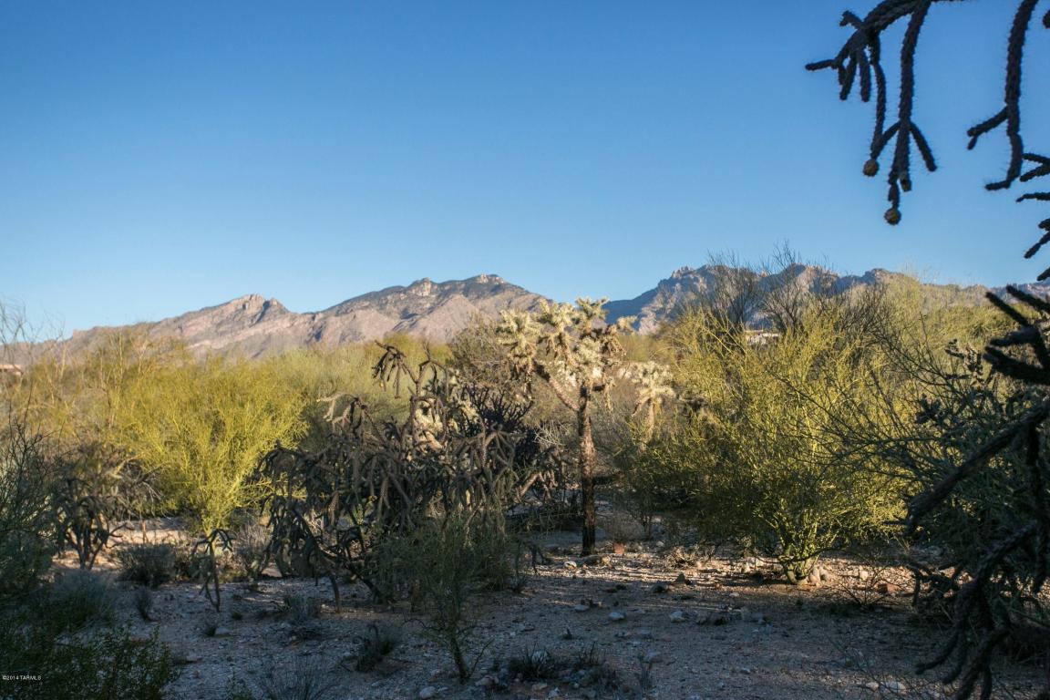 6331 E River Rd, Tucson, AZ 85750 photo 5