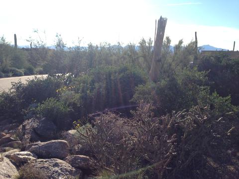 1663 E Sanctuary Cove Way, Tucson, AZ 85718 photo 3