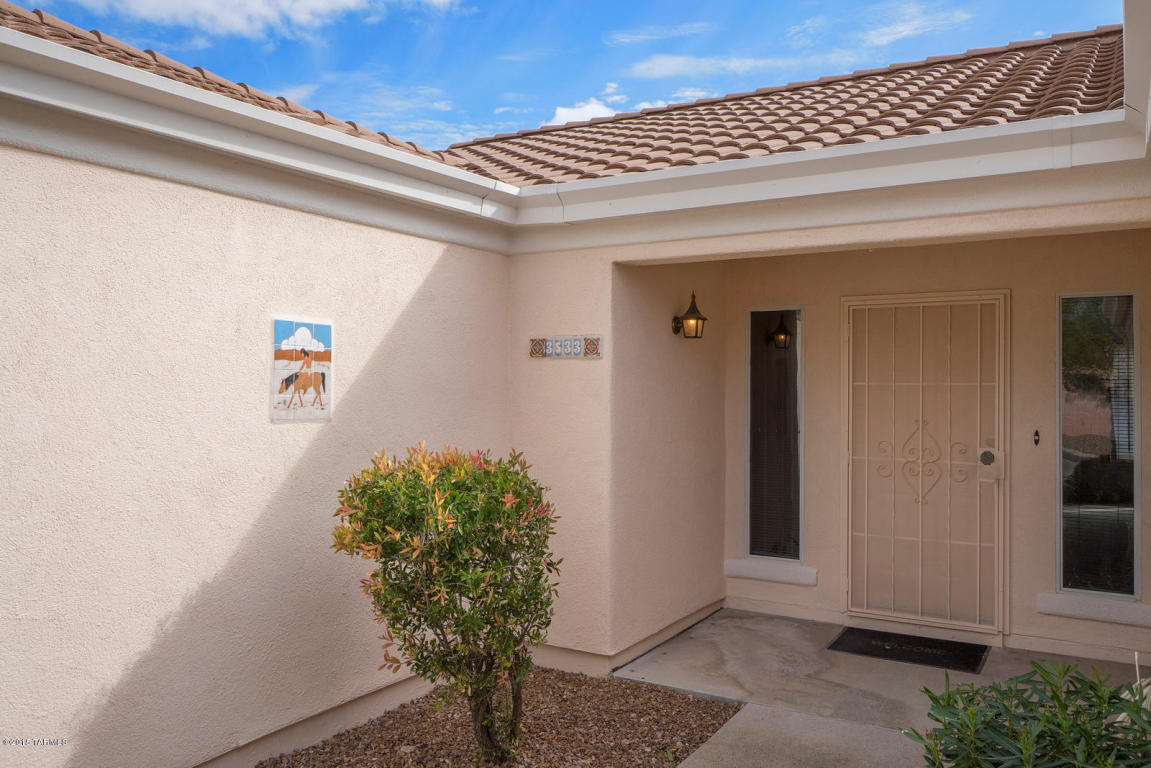 3533 W Thundercloud Loop, Tucson, AZ 85742 photo 27