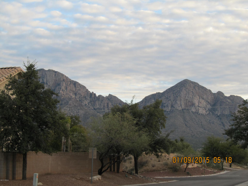 1501 E Grimaldi Pl, Tucson, AZ 85737 photo 30