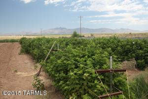 8909 S Bell Ranch Rd, Willcox, AZ 85643 photo 23