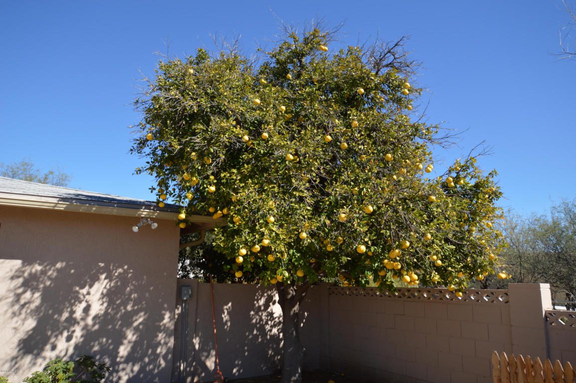 8898 E Saddleback Dr, Tucson, AZ 85749 photo 32