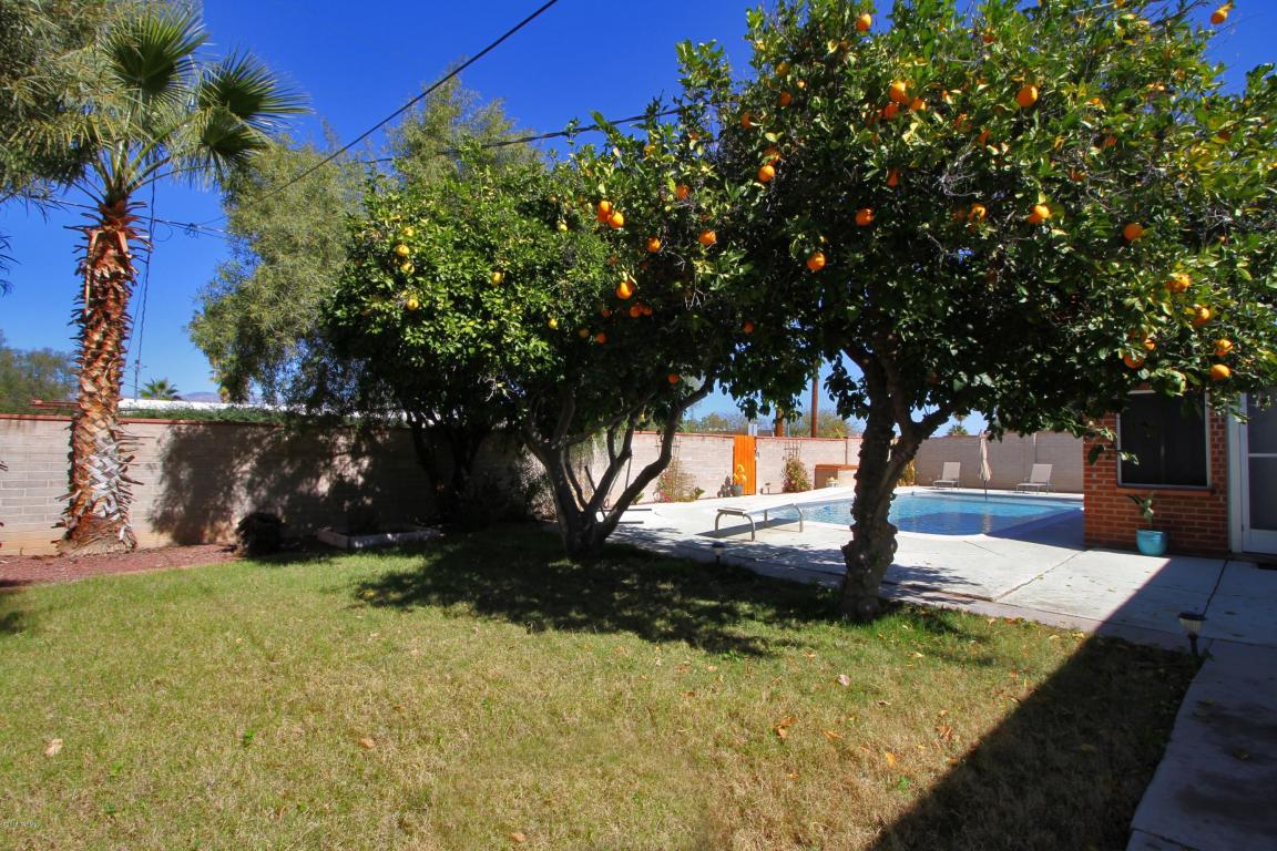 7457 Eli Dr, Tucson, AZ 85710 photo 28