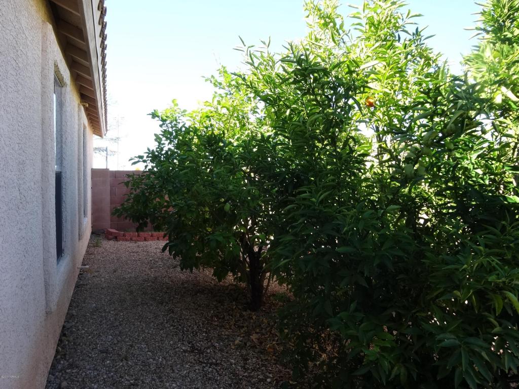 12953 E Douglas Camp Spring Dr, Vail, AZ 85641 photo 39