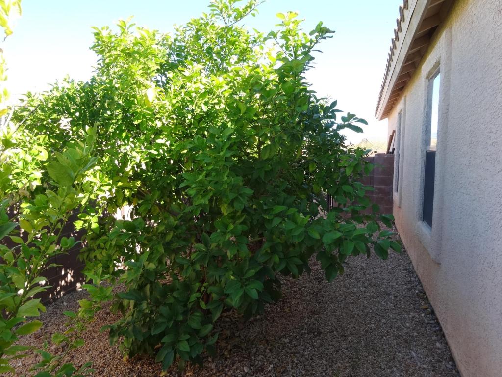 12953 E Douglas Camp Spring Dr, Vail, AZ 85641 photo 40