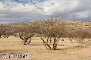 1450 E Morris Ln, Benson, AZ 85602 photo 34