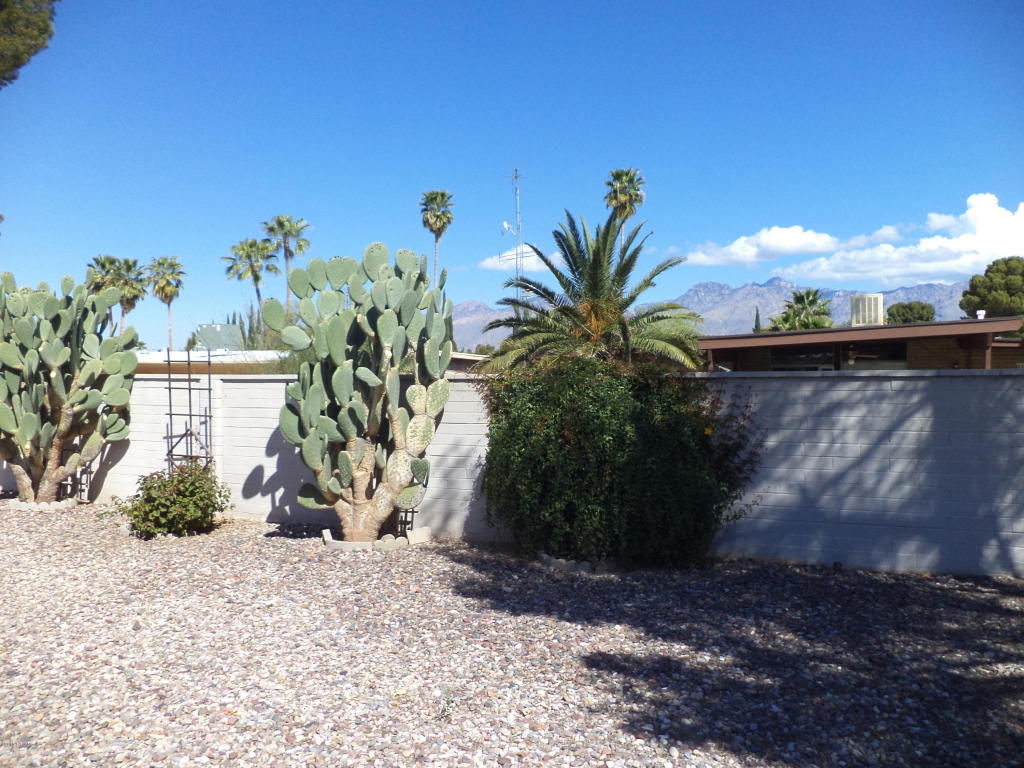 7741 E Lester St, Tucson, AZ 85715 photo 23