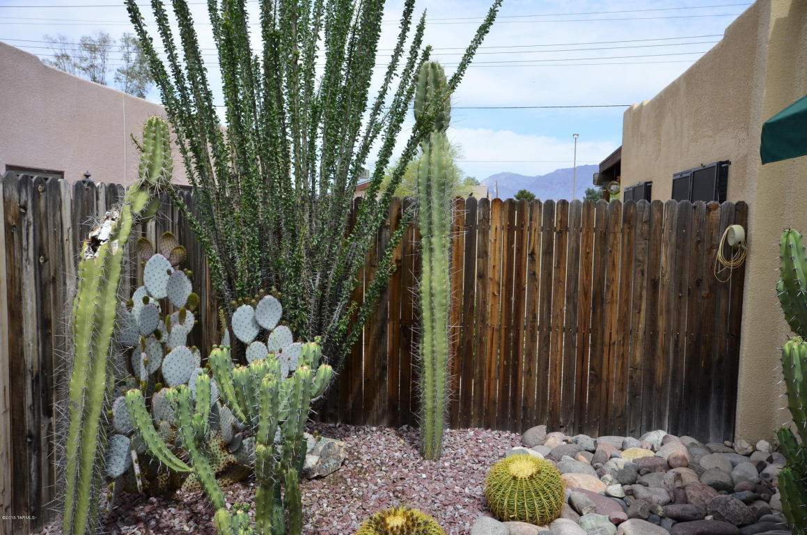 3363 E Popinac Loop, Tucson, AZ 85716 photo 35