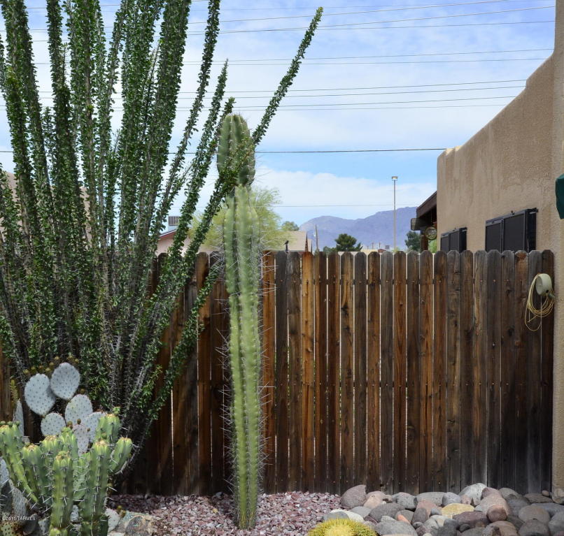3363 E Popinac Loop, Tucson, AZ 85716 photo 36