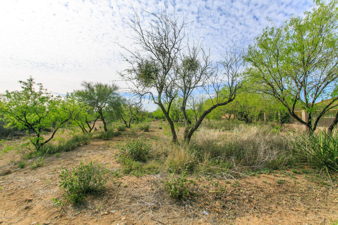3538 E Cavern Ct, Vail, AZ 85641 photo 23