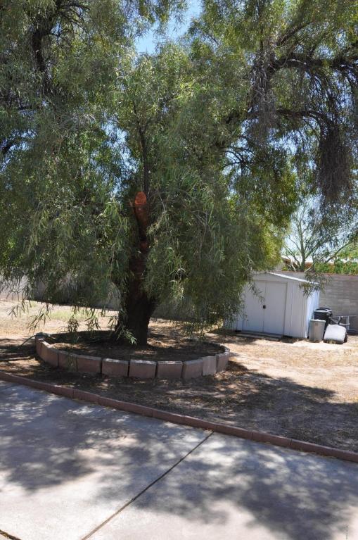 818 E Sequoyah St, Tucson, AZ 85719 photo 9