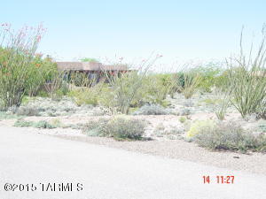 14213 E Whispering Ocotillo Pl, Vail, AZ 85641 photo 15
