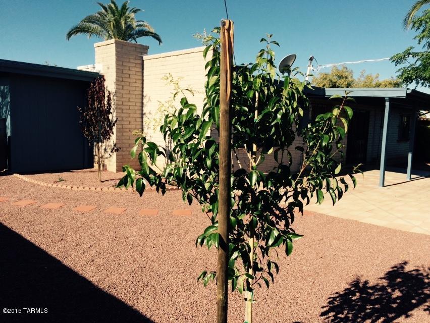8501 E 20th St, Tucson, AZ 85710 photo 18