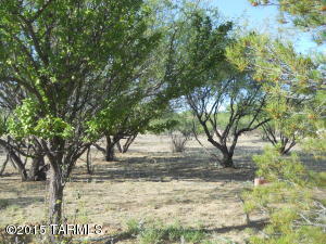 681 E 5th Ave, Saint David, AZ 85630 photo 11