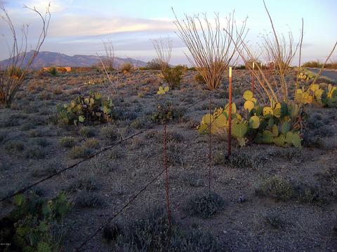 3351 E Rincon View Dr, Vail, AZ 85641 photo 3