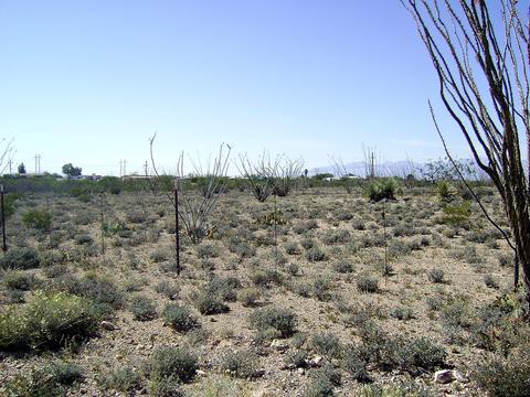 3351 E Rincon View Dr, Vail, AZ 85641 photo 8