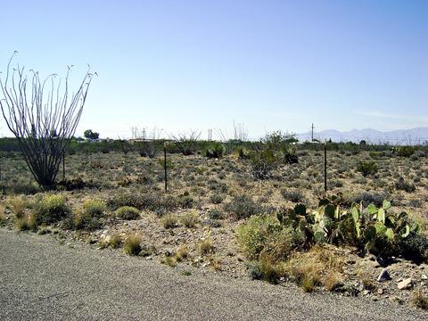 3351 E Rincon View Dr, Vail, AZ 85641 photo 15