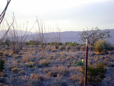 3351 E Rincon View Dr, Vail, AZ 85641 photo 7