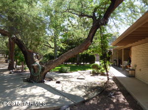 2129 N Donner Ave, Tucson, AZ 85749 photo 4