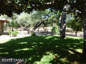 2129 N Donner Ave, Tucson, AZ 85749 photo 38