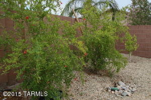 7428 E Fair Meadows Loop, Tucson, AZ 85756 photo 5