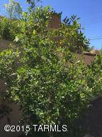 2009 E 9th St, Tucson, AZ 85719 photo 14