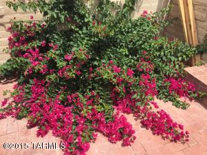 578 E Savannah, Vail, AZ 85641 photo 18