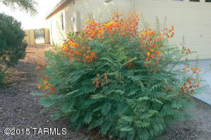 10415 E Yakima St, Tucson, AZ 85747 photo 20