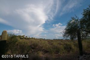 308 E Desert Tree Dr, Tucson, AZ 85704 photo 15