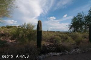 308 E Desert Tree Dr, Tucson, AZ 85704 photo 14