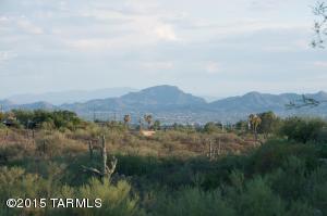 308 E Desert Tree Dr, Tucson, AZ 85704 photo 3