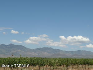 5589 S Timken Trl, Willcox, AZ 85643 photo 8