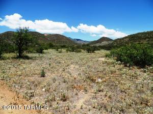 5589 S Timken Trl, Willcox, AZ 85643 photo 41