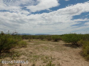 1341 E Morris Ln, Benson, AZ 85602 photo 23