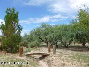 1341 E Morris Ln, Benson, AZ 85602 photo 14
