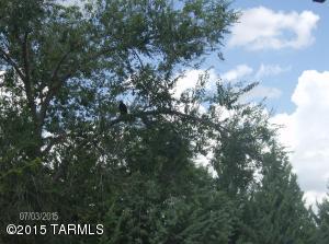 5205 W Marguerite Rd, Willcox, AZ 85643 photo 32