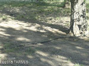 5205 W Marguerite Rd, Willcox, AZ 85643 photo 17