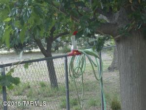 5205 W Marguerite Rd, Willcox, AZ 85643 photo 12