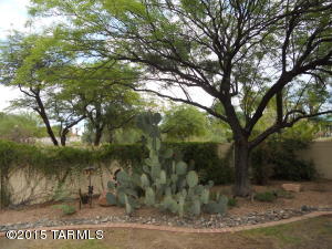 3517 W Thundercloud Loop, Tucson, AZ 85742 photo 20