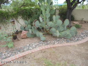 3517 W Thundercloud Loop, Tucson, AZ 85742 photo 21