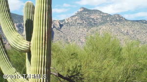 3712 E Lizard Rock Pl, Tucson, AZ 85718 photo 16