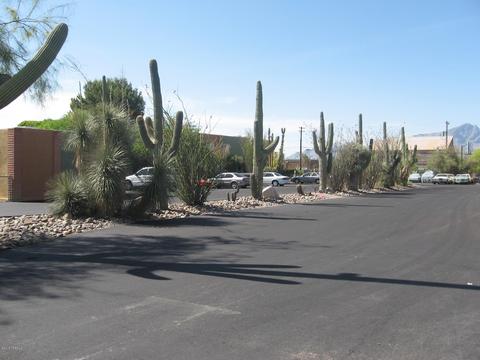 5105 E 2nd St, Tucson, AZ 85711 photo 5