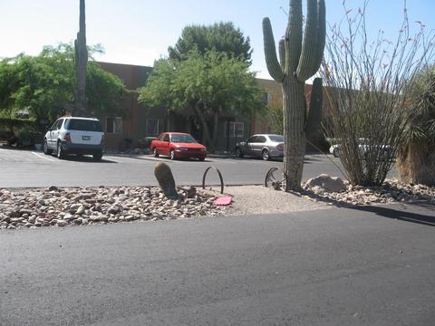 5105 E 2nd St, Tucson, AZ 85711 photo 3