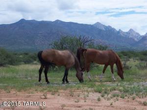 6204 E Badger Trl, Saint David, AZ 85630 photo 41