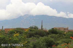 9325 S Old Soldier Trl, Vail, AZ 85641 photo 41