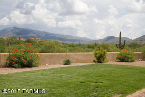 9325 S Old Soldier Trl, Vail, AZ 85641 photo 35