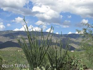 17631 E Mountain Canyon Rd, Vail, AZ 85641 photo 46