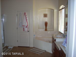 10520 S Coyote Melon Loop, Vail, AZ 85641 photo 8