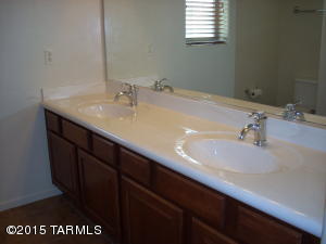 10520 S Coyote Melon Loop, Vail, AZ 85641 photo 11